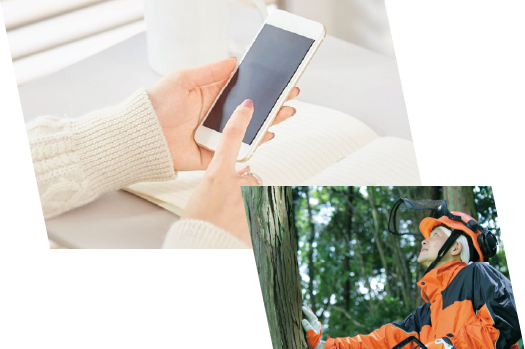 スマホと林業の写真