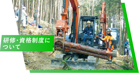 研修・資格制度について